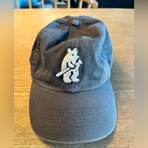 Cooperstown Collection Twins Enterprise Cap Chicago Cubs